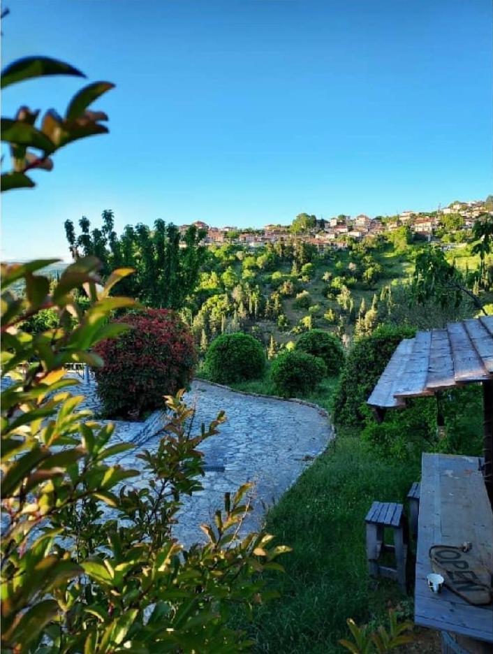 Agnanti Zitsas Hotel Екстериор снимка